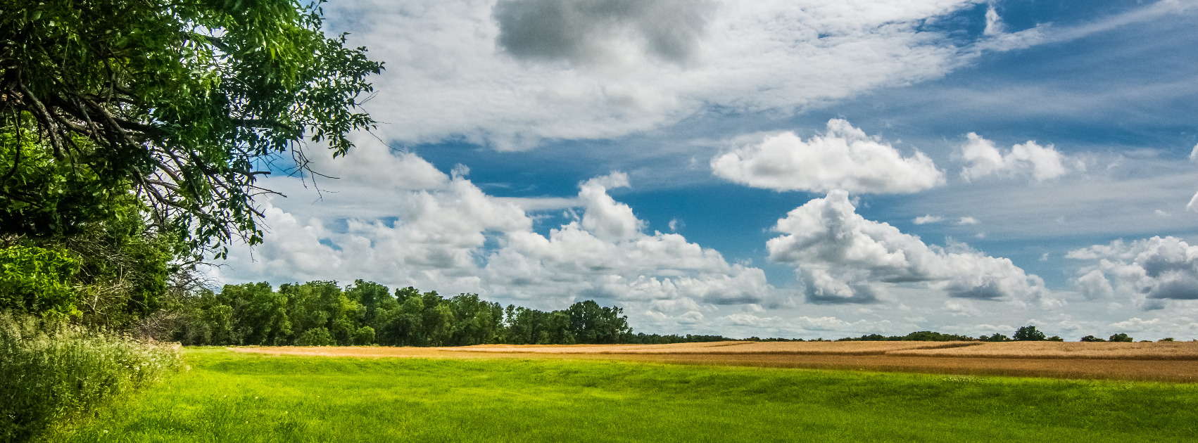 Nebraska's blue sky with puffy clouds